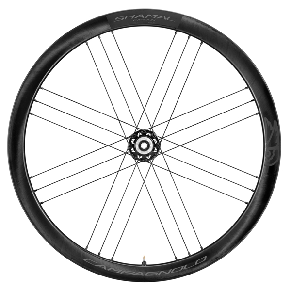 Campagnolo SHAMAL™ CARBON Disc Tubeless  Arrière CampaN3W Bright