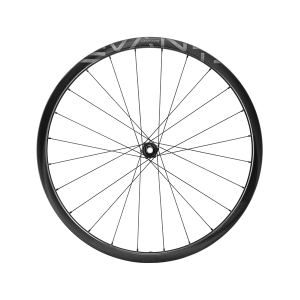 Campagnolo LEVANTE CARBON DISC TUBELESS ARRIERE XDR